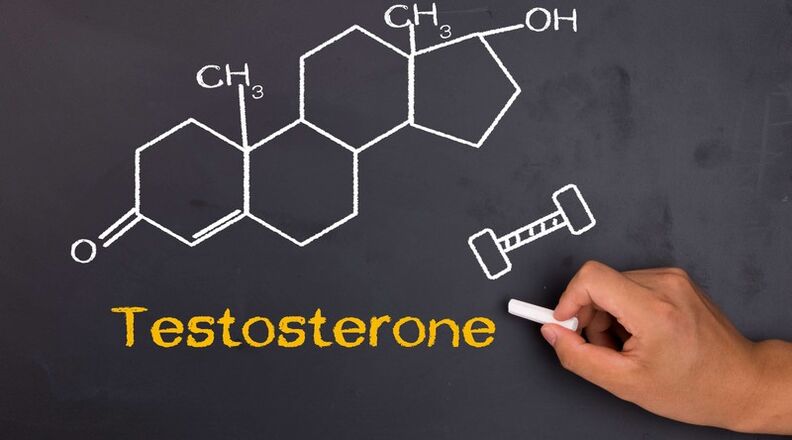 Testosterona līmenis ietekmē vīrieša dzimumlocekļa izmēru